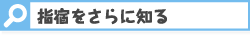 指宿をさらに知る