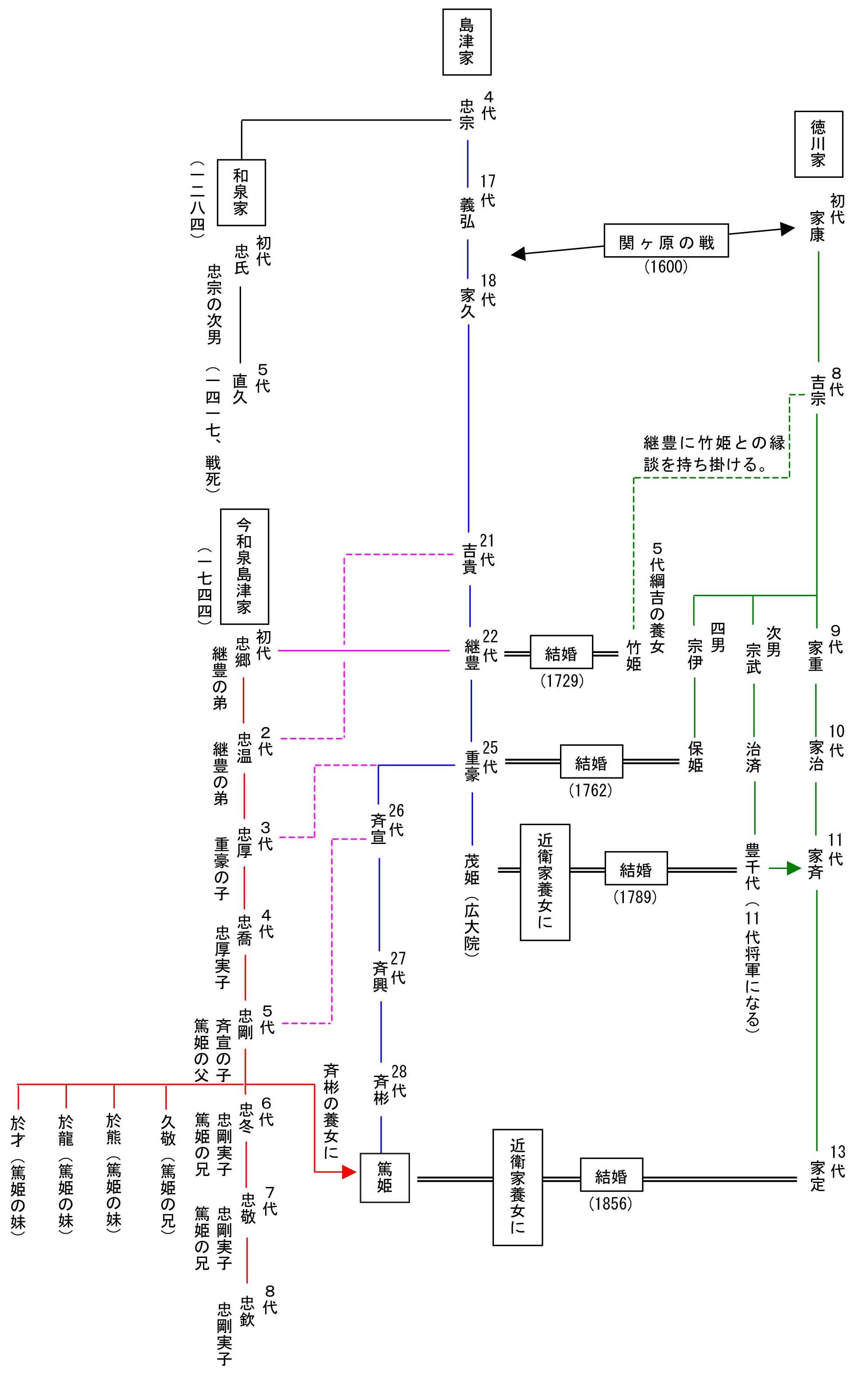 徳川家・島津家・今和泉島津家の関係の写真