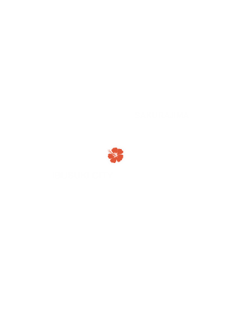 IBUSUKI CITY