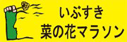 いぶすき菜の花マラソン