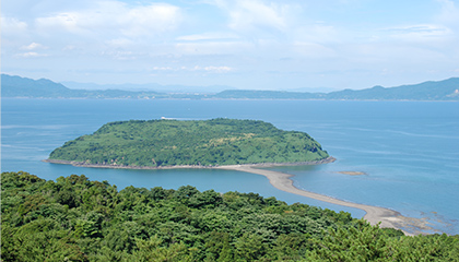 知林ヶ島