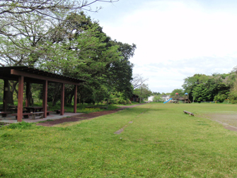 photo1