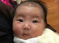 いせち れいのすけ ちゃん ちゃん