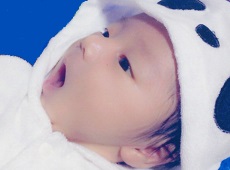 にしだ とあ ちゃん ちゃん