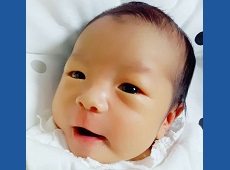 あらたけ めい ちゃん ちゃん