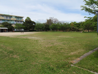 photo1