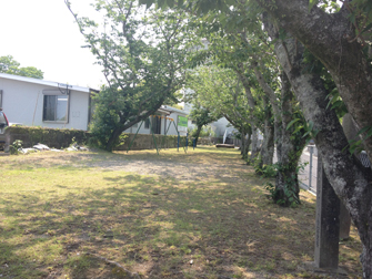 photo3