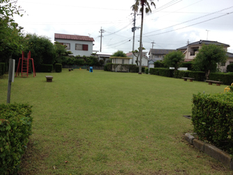 photo2