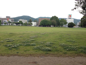 セントラルパーク指宿 写真