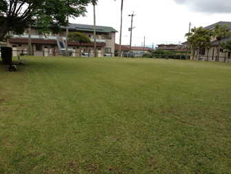 photo3