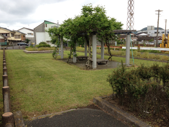 photo3