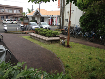 photo1