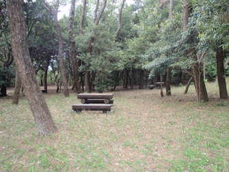 唐人山ふれあいの森公園 写真