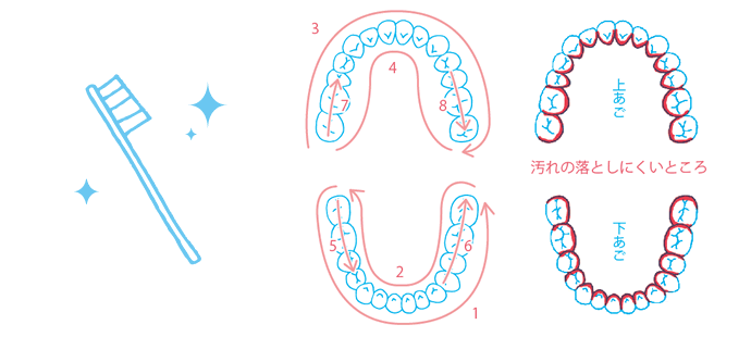 歯磨き達人になろうイラスト