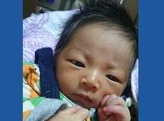 さた はくと ちゃん ちゃん