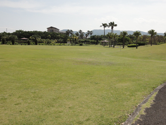 フラワー公園 写真