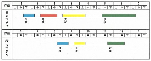 かぼちゃの栽培歴表