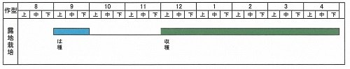 ソラマメの栽培歴表