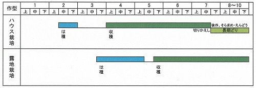 栽培暦の表