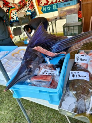 縦 指宿2 (2).jpg