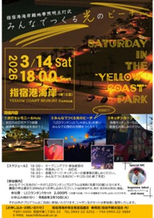 R080314_みんなでつくる光のビーチ_1.jpg