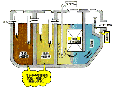 接触ばっ気方式図.png