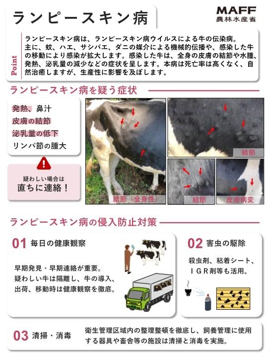 韓国におけるランピースキン病の発生について - 農政課