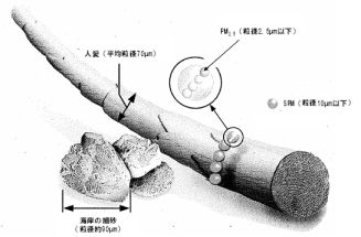 PMの大きさとの比較概念図