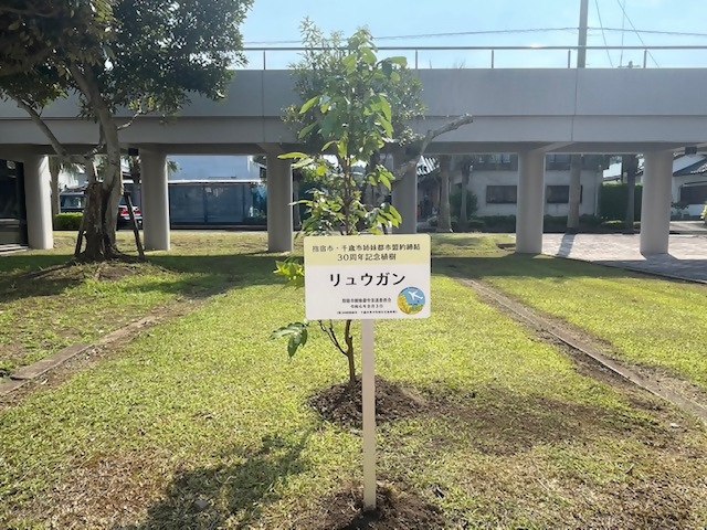 image10.jpeg