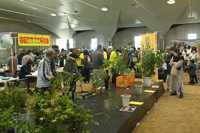 産業まつり4.JPG