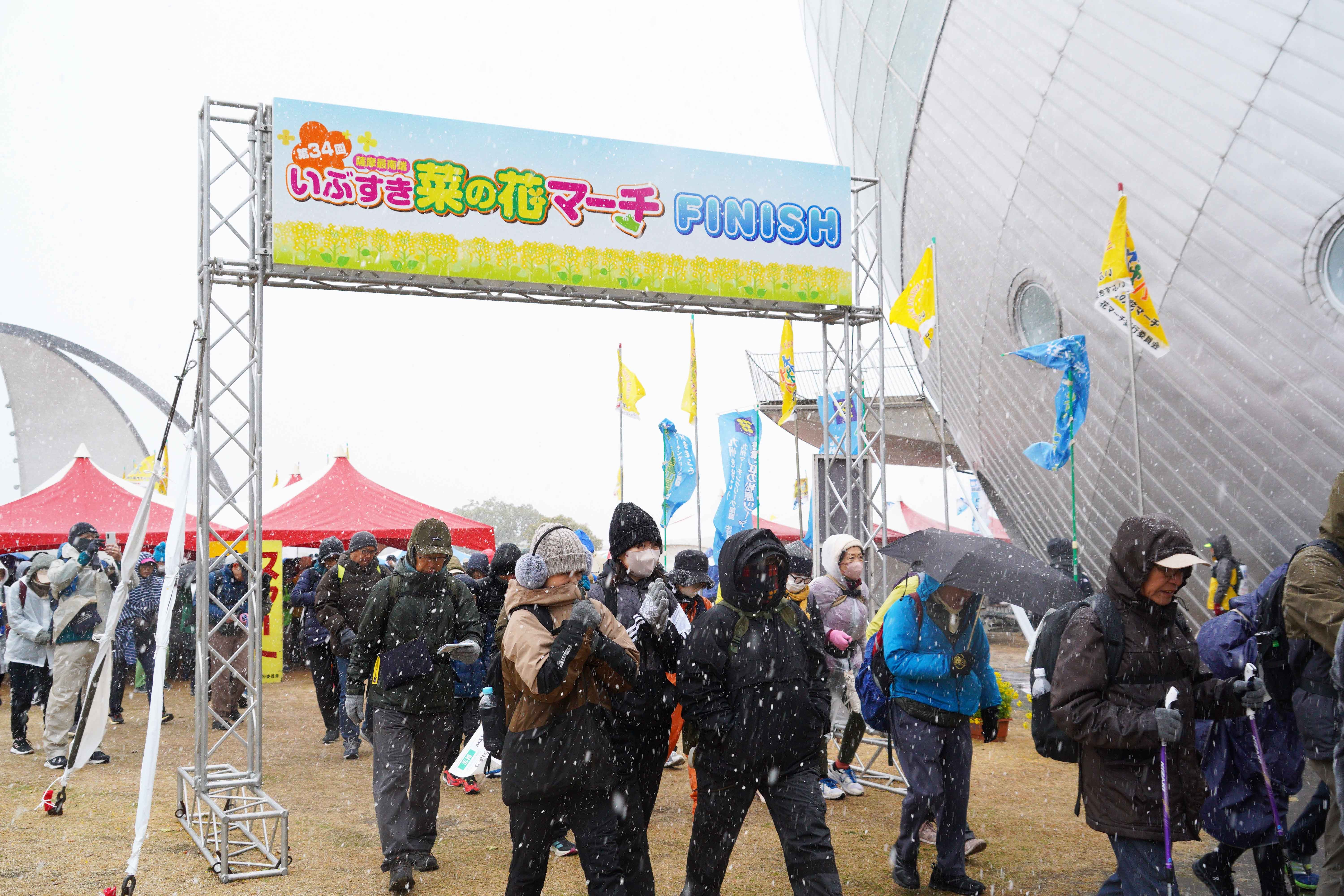 20260207 第34回いぶすき菜の花マーチ1.jpg