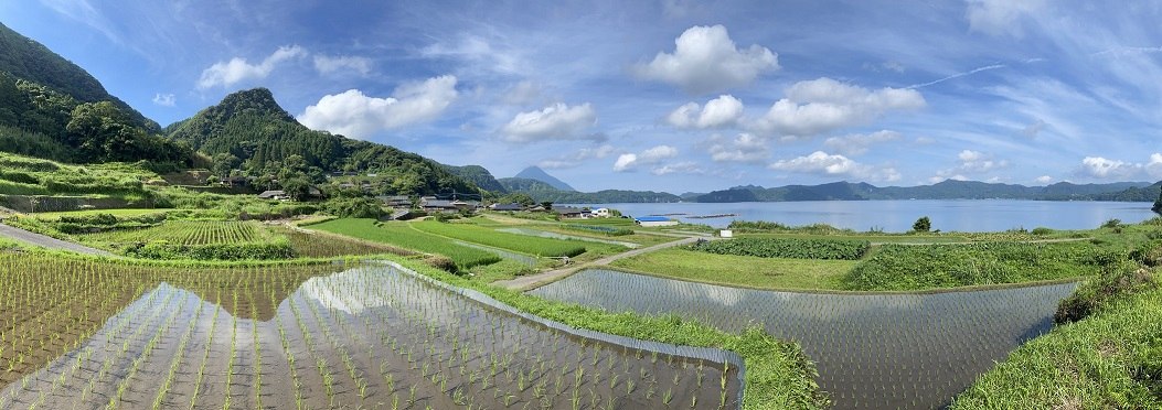 尾下の棚田