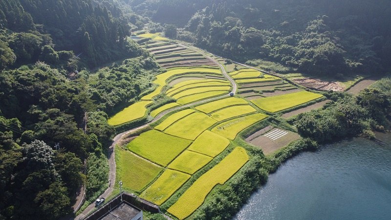 新永吉の棚田(全景)