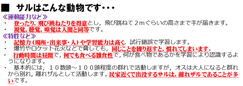サルはこんな動物です