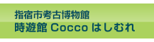 指宿市考古博物館　時遊館Coccoはしむれ